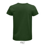 Vert bouteille