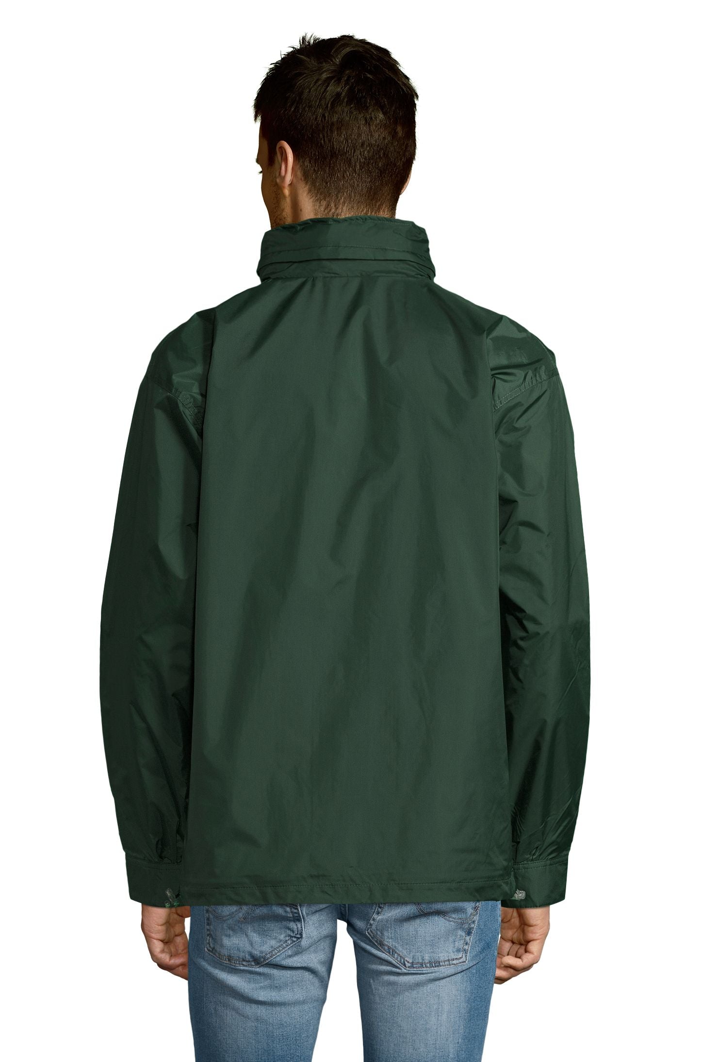 Vert forêt