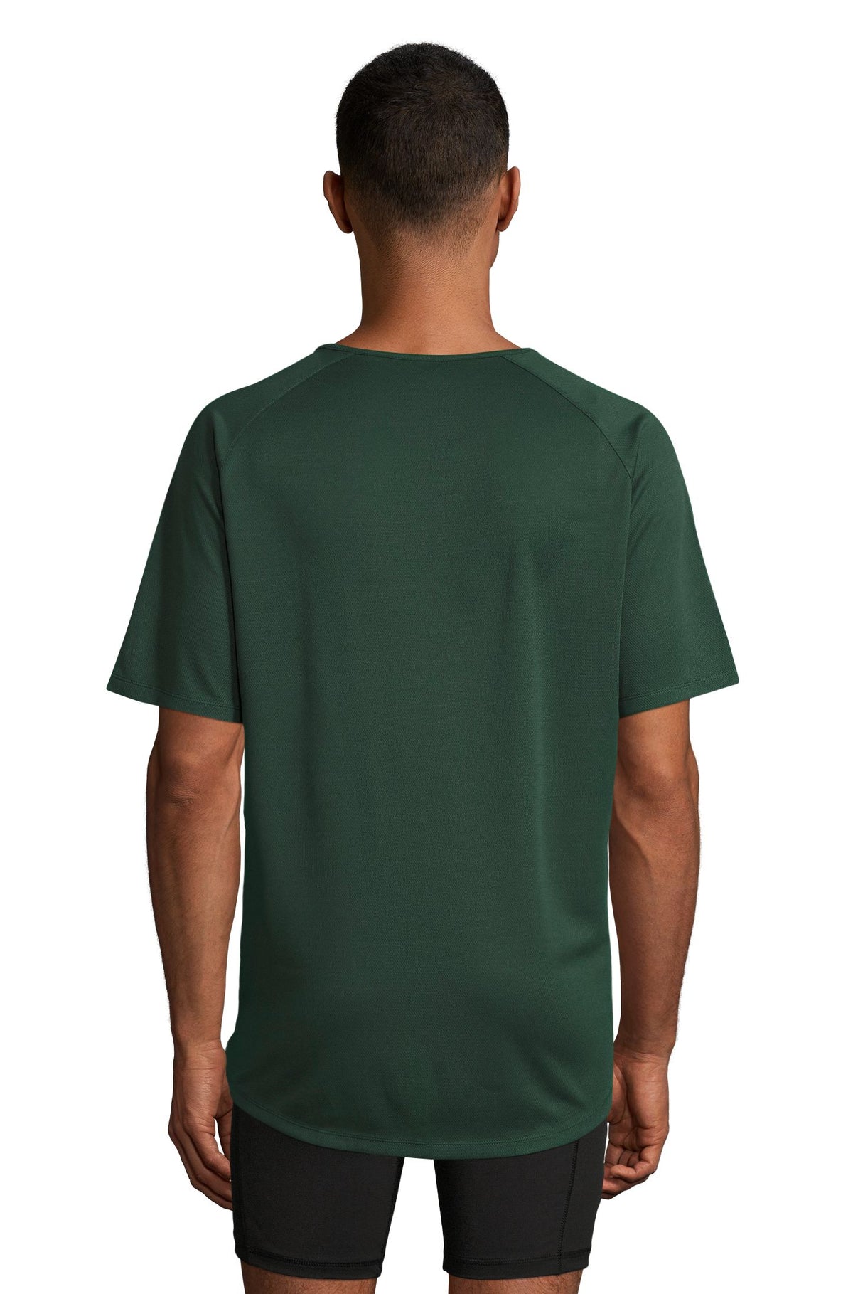 Vert forêt