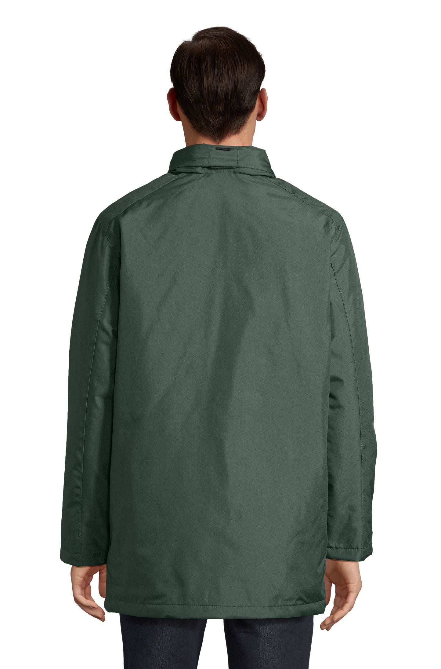Vert forêt