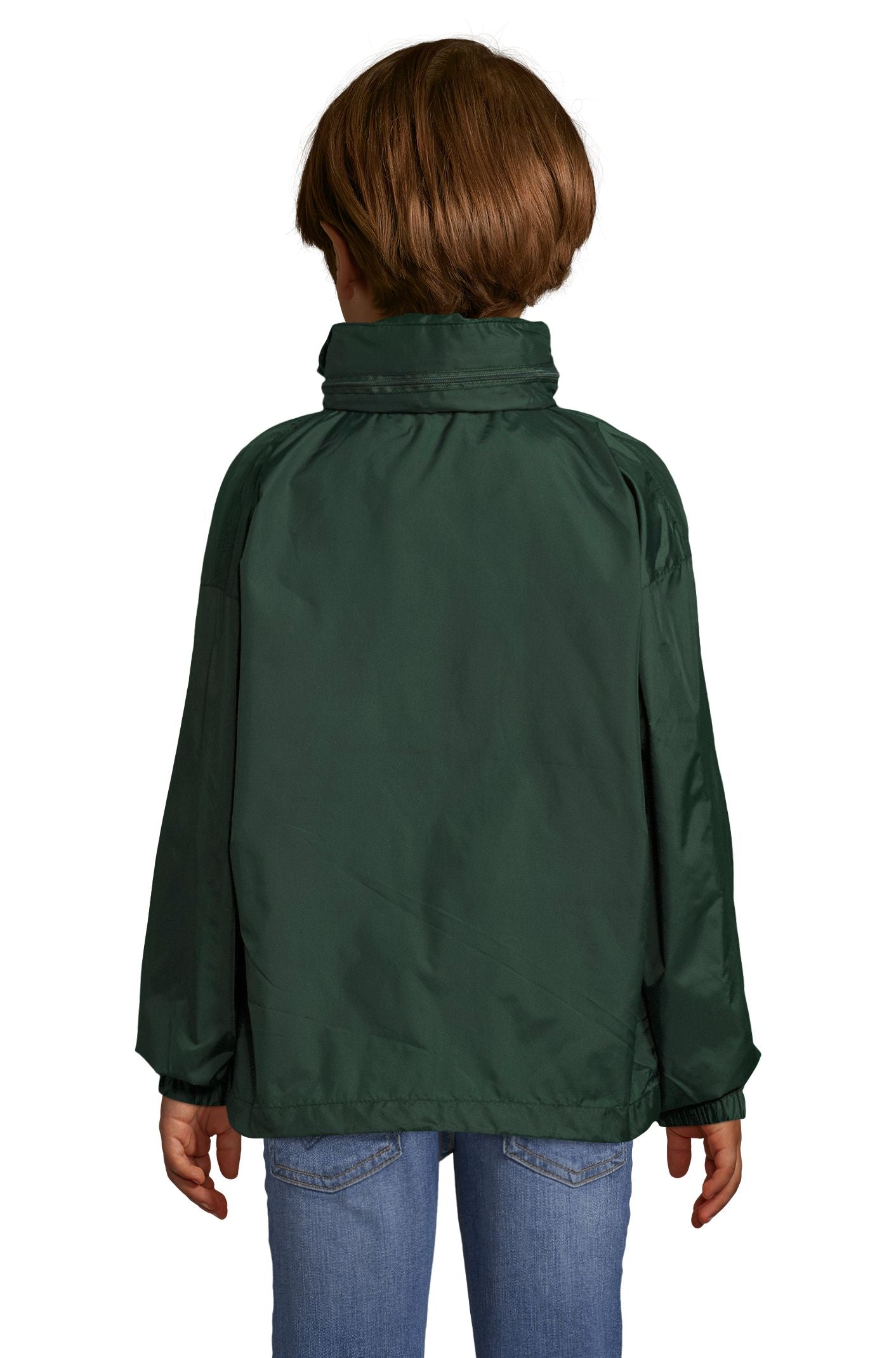 Vert forêt