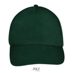 Vert forêt