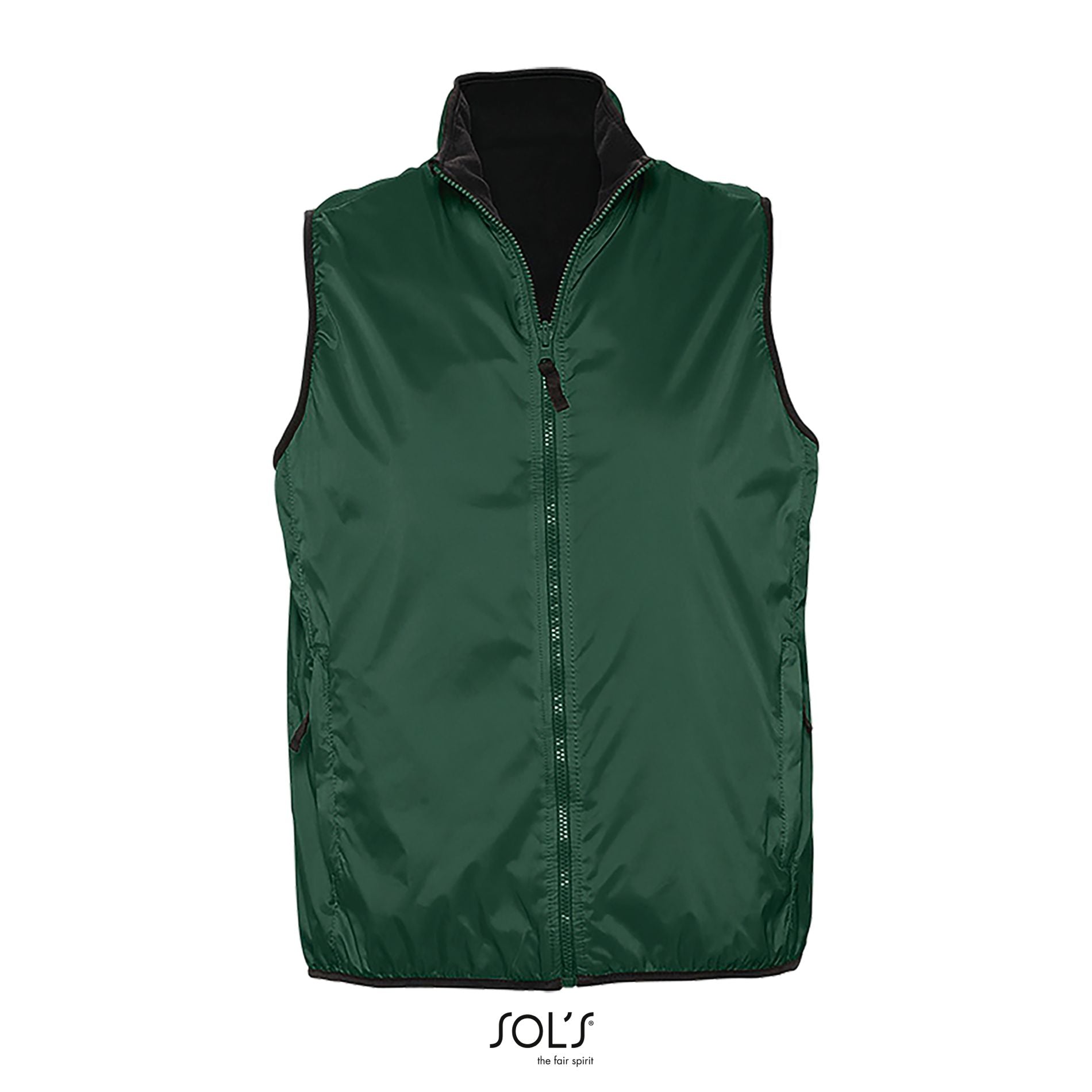 Vert forêt