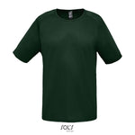 Vert forêt