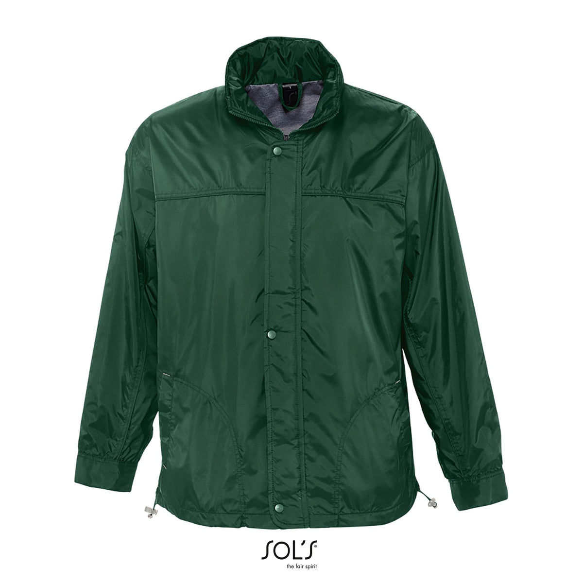 Vert forêt