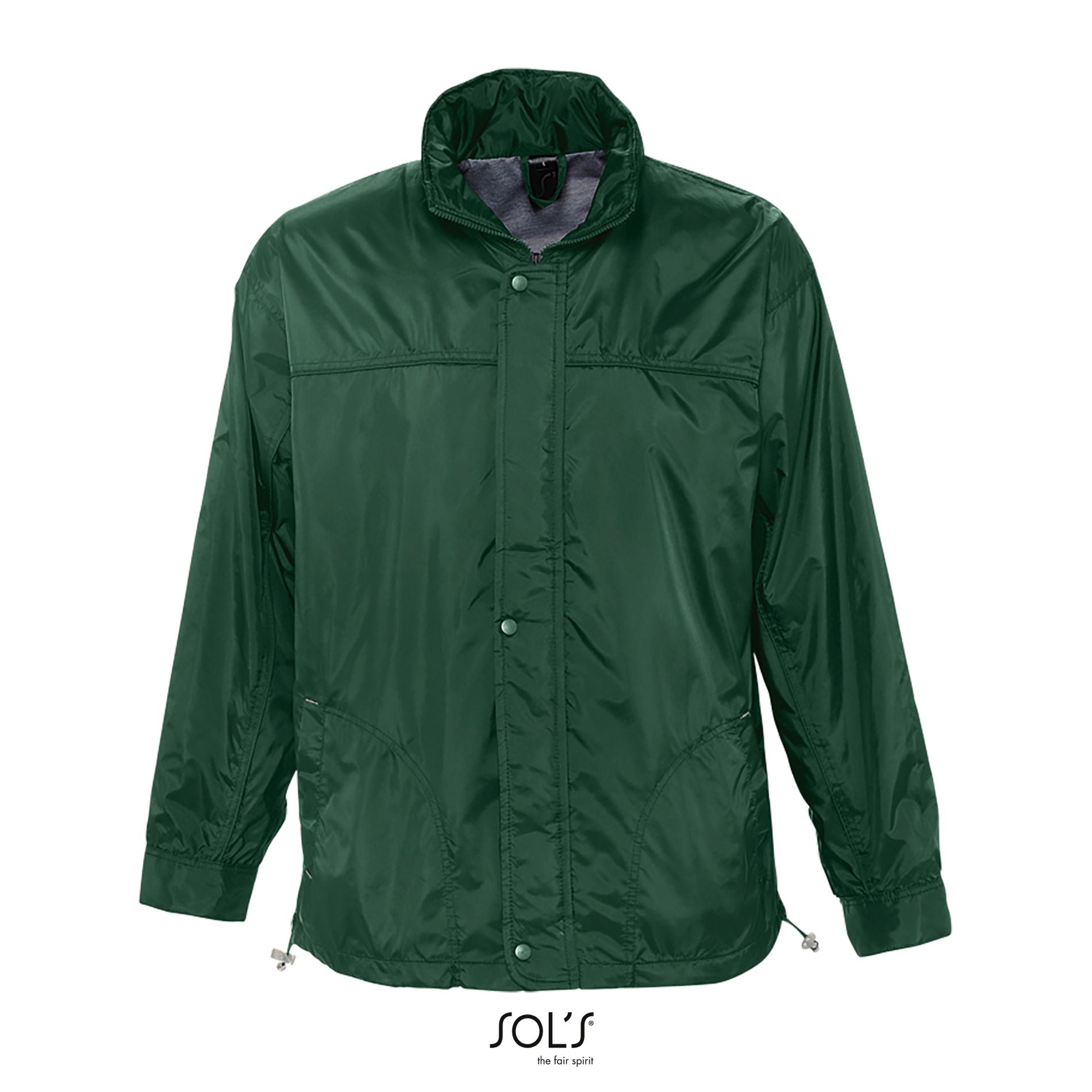 Vert forêt