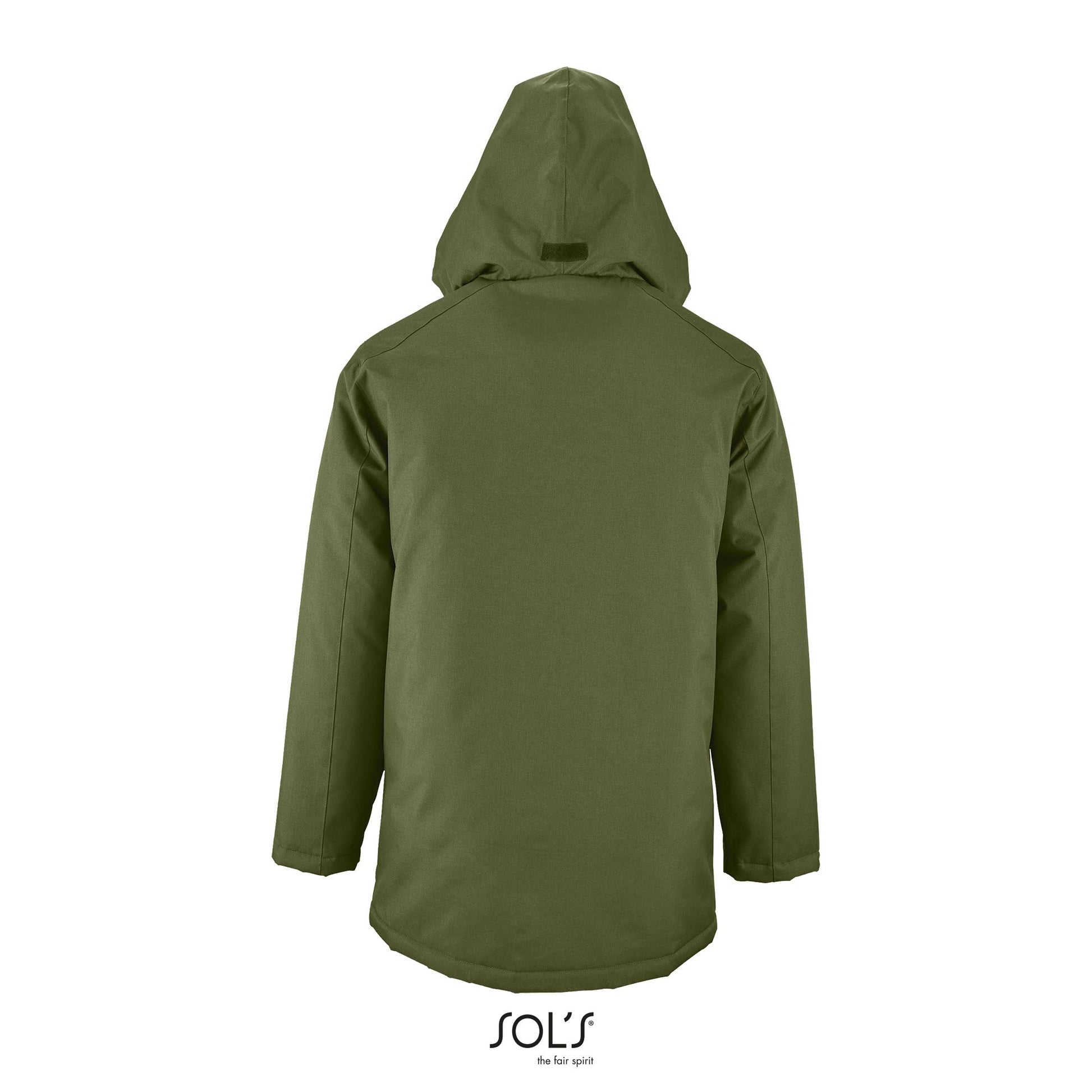 Vert forêt