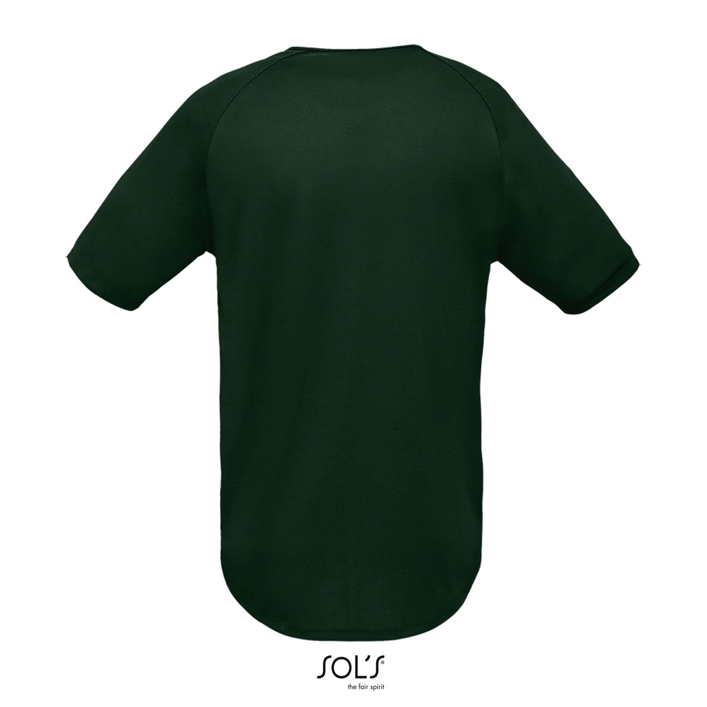 Vert forêt