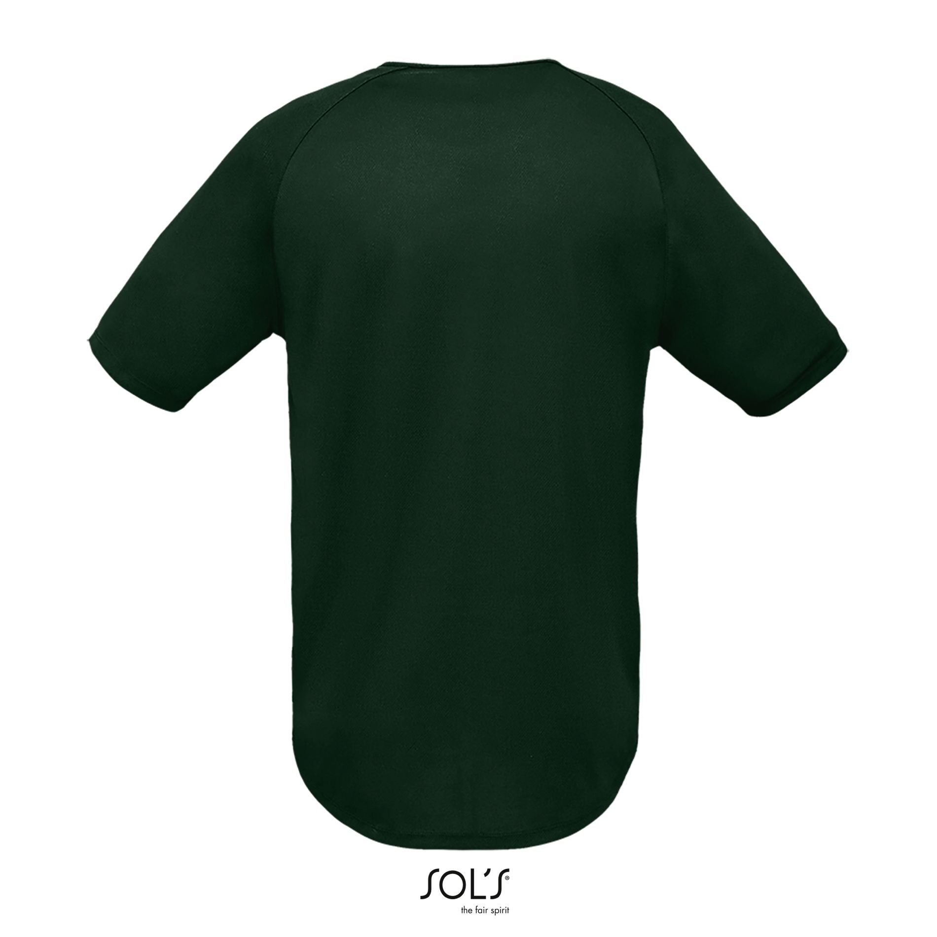 Vert forêt