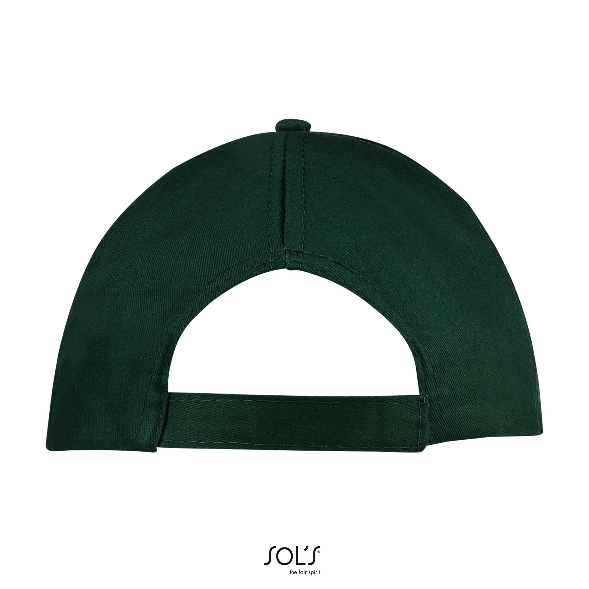 Vert forêt