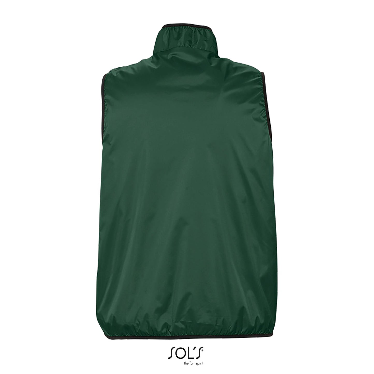 Vert forêt