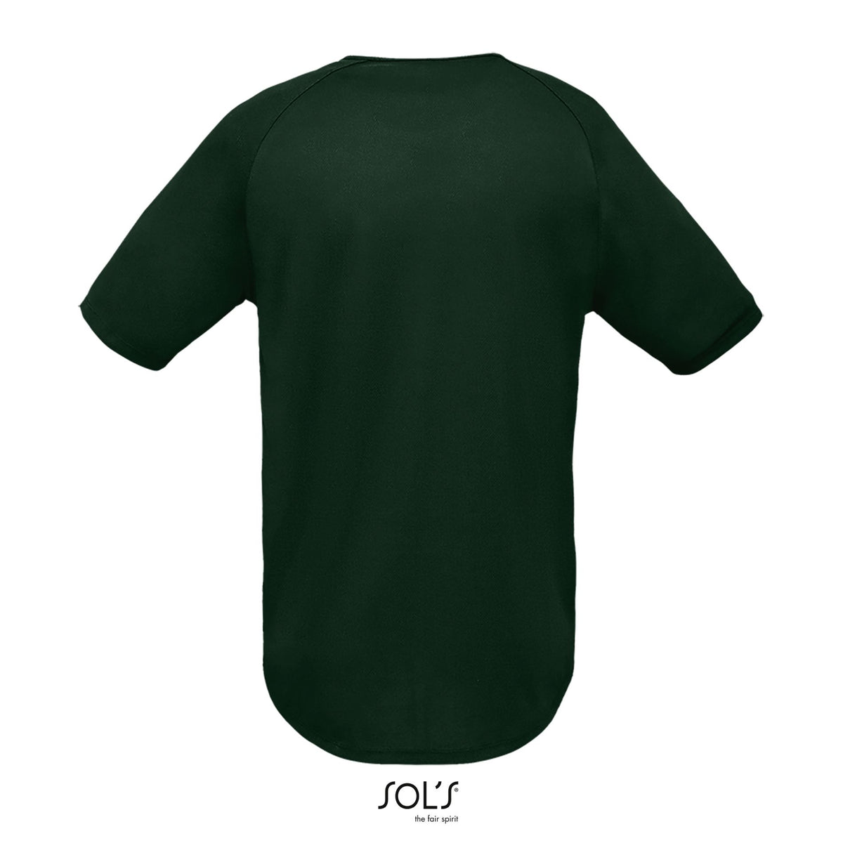 Vert forêt