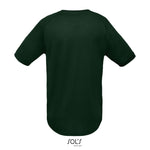 Vert forêt