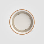 WFL-C_Cap2-id504-jan26.jpg