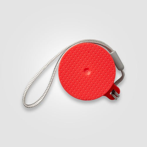 WFZ-S_Cap2-id504-jan26.jpg