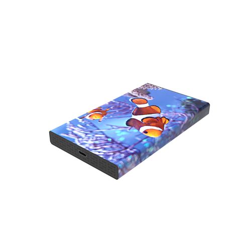 White-lake-hard-drive-pro-5-id732-juin25.jpg