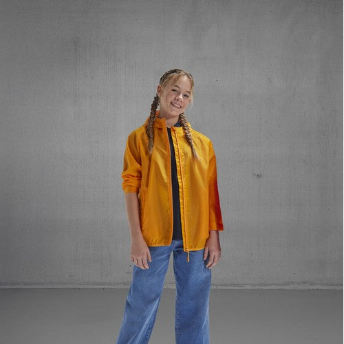 bc631_studio_7924ade9_ibx_2026.jpg