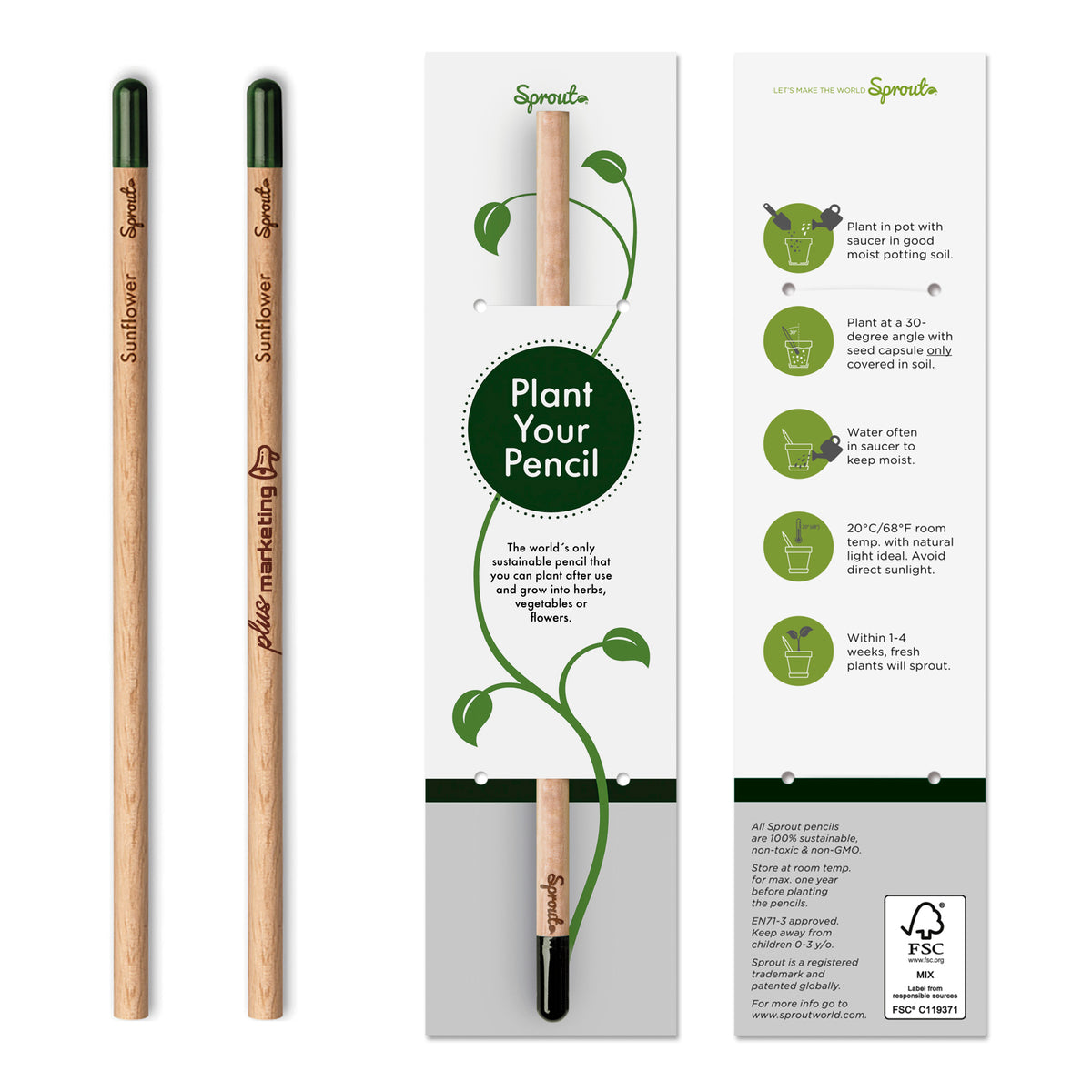 Sprout™ | Crayon