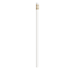BIC®  Evolution® Classic Ecolutions® crayon