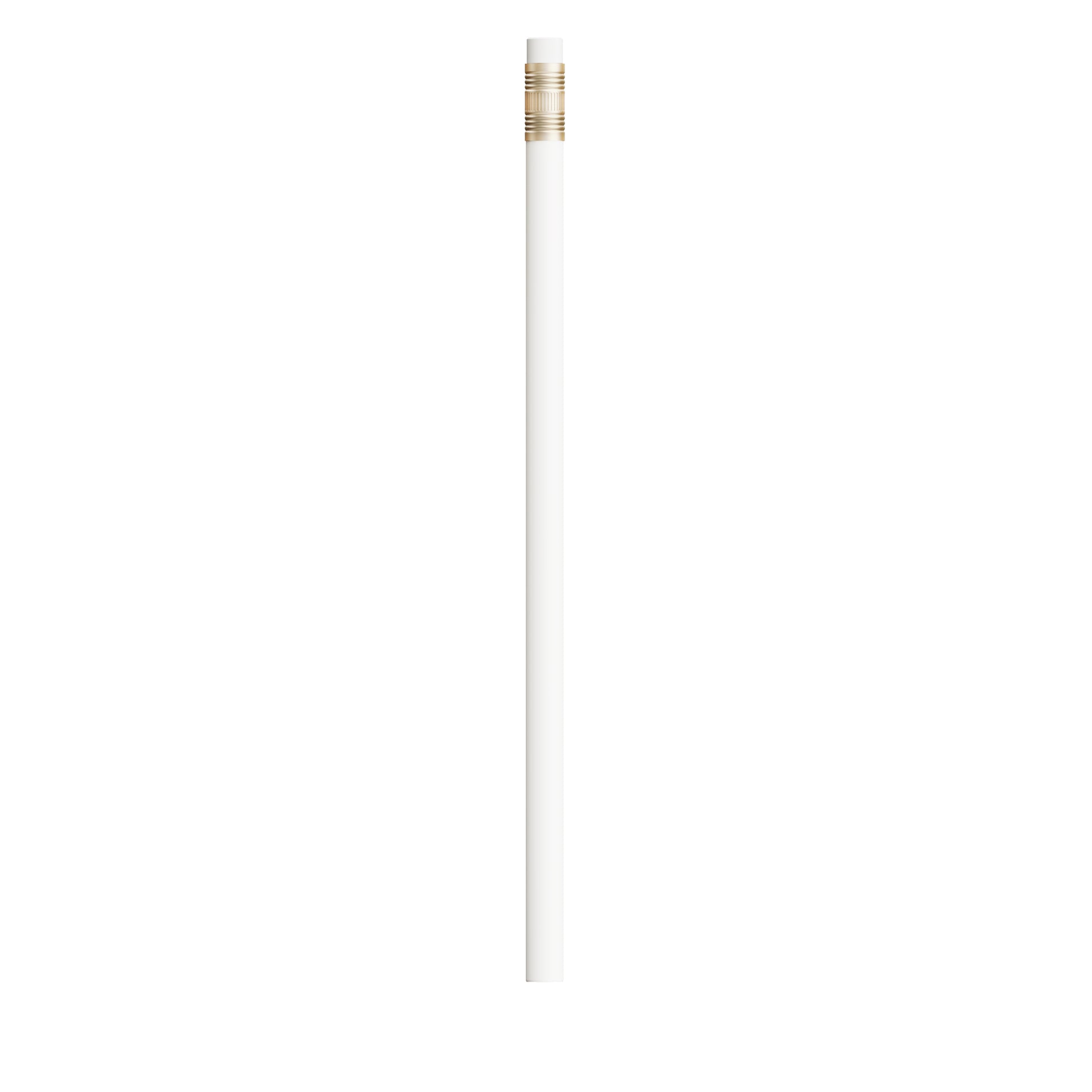 BIC®  Evolution® Classic Ecolutions® crayon