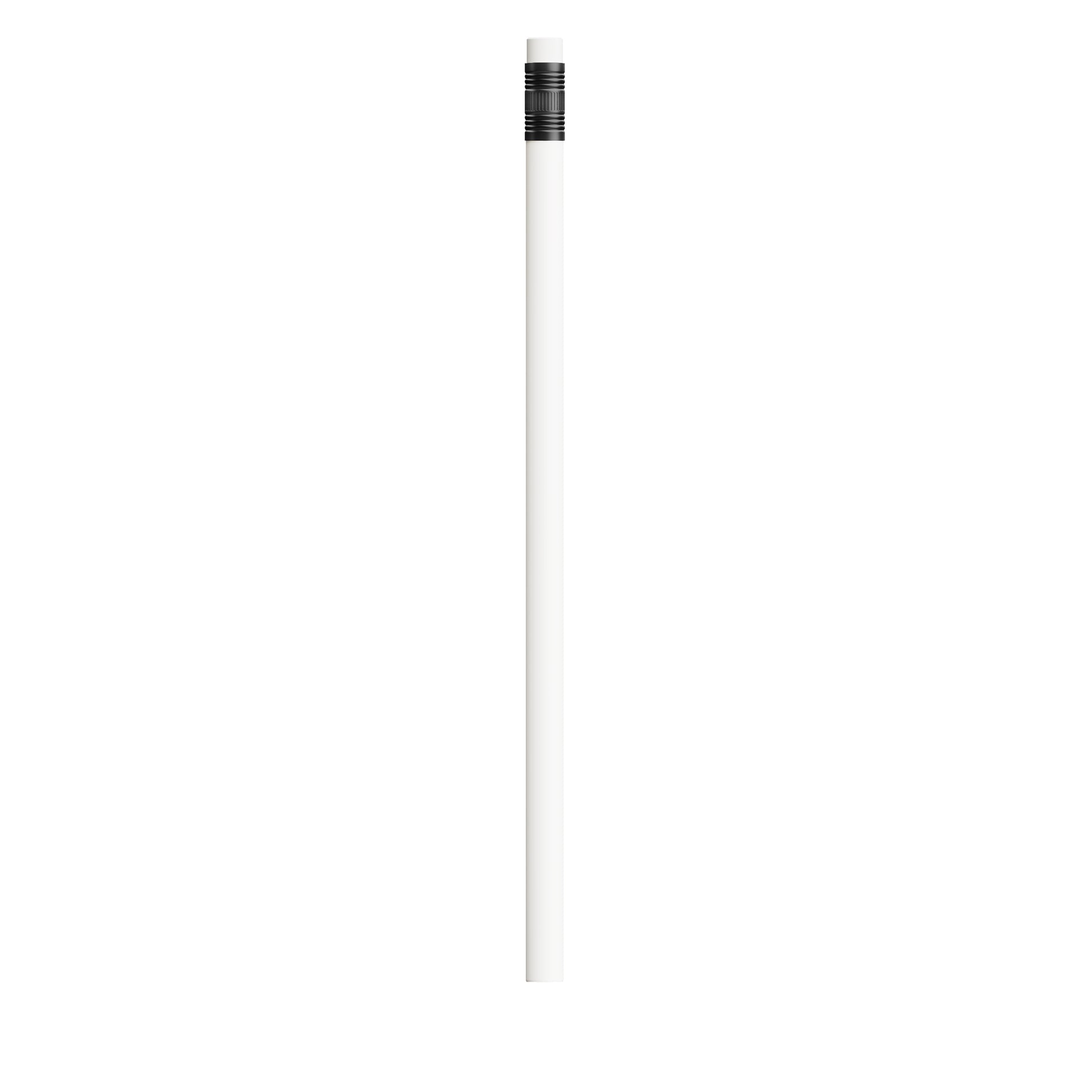 BIC®  Evolution® Classic Ecolutions® crayon