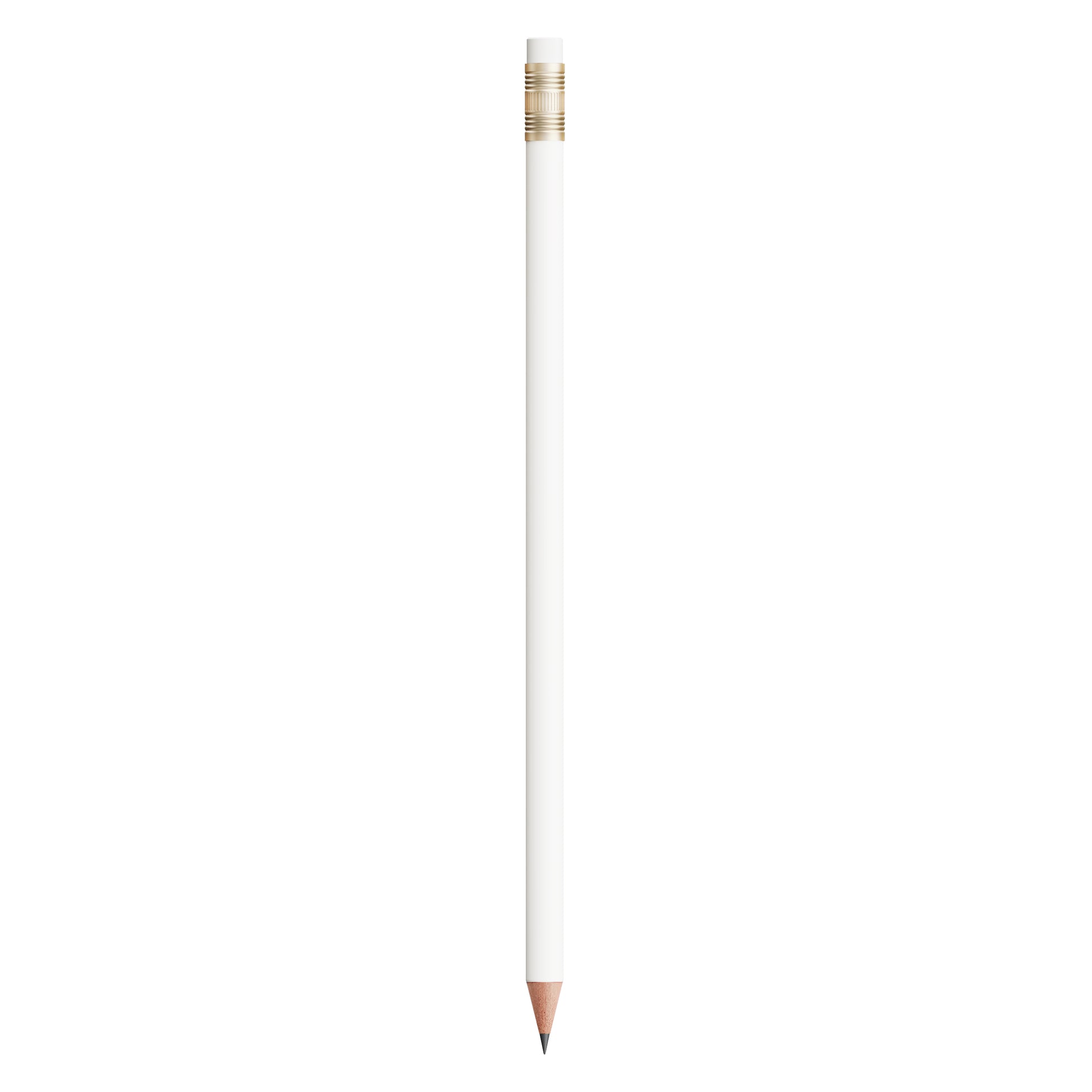 BIC®  Evolution® Classic Ecolutions® crayon