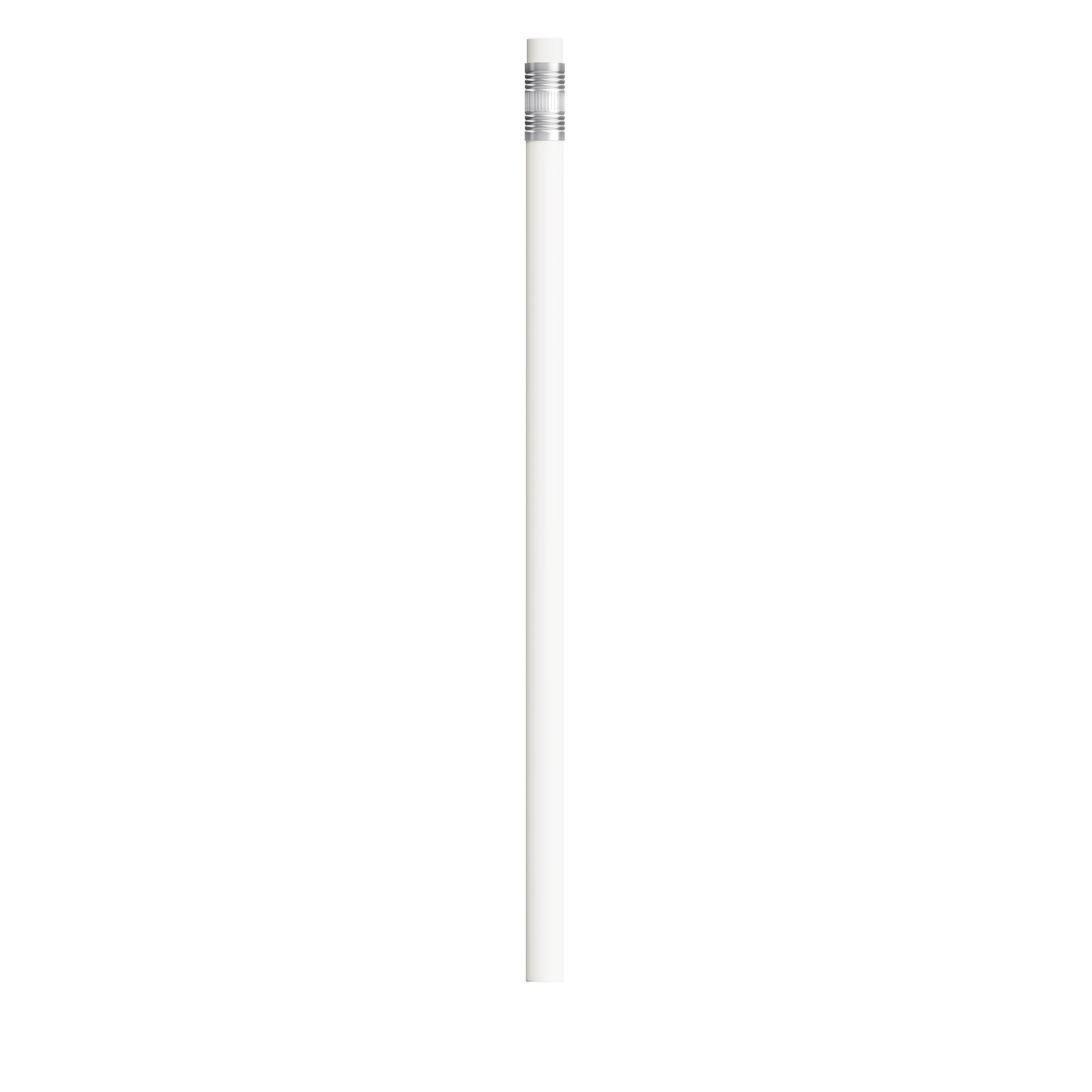BIC®  Evolution® Classic Ecolutions® crayon