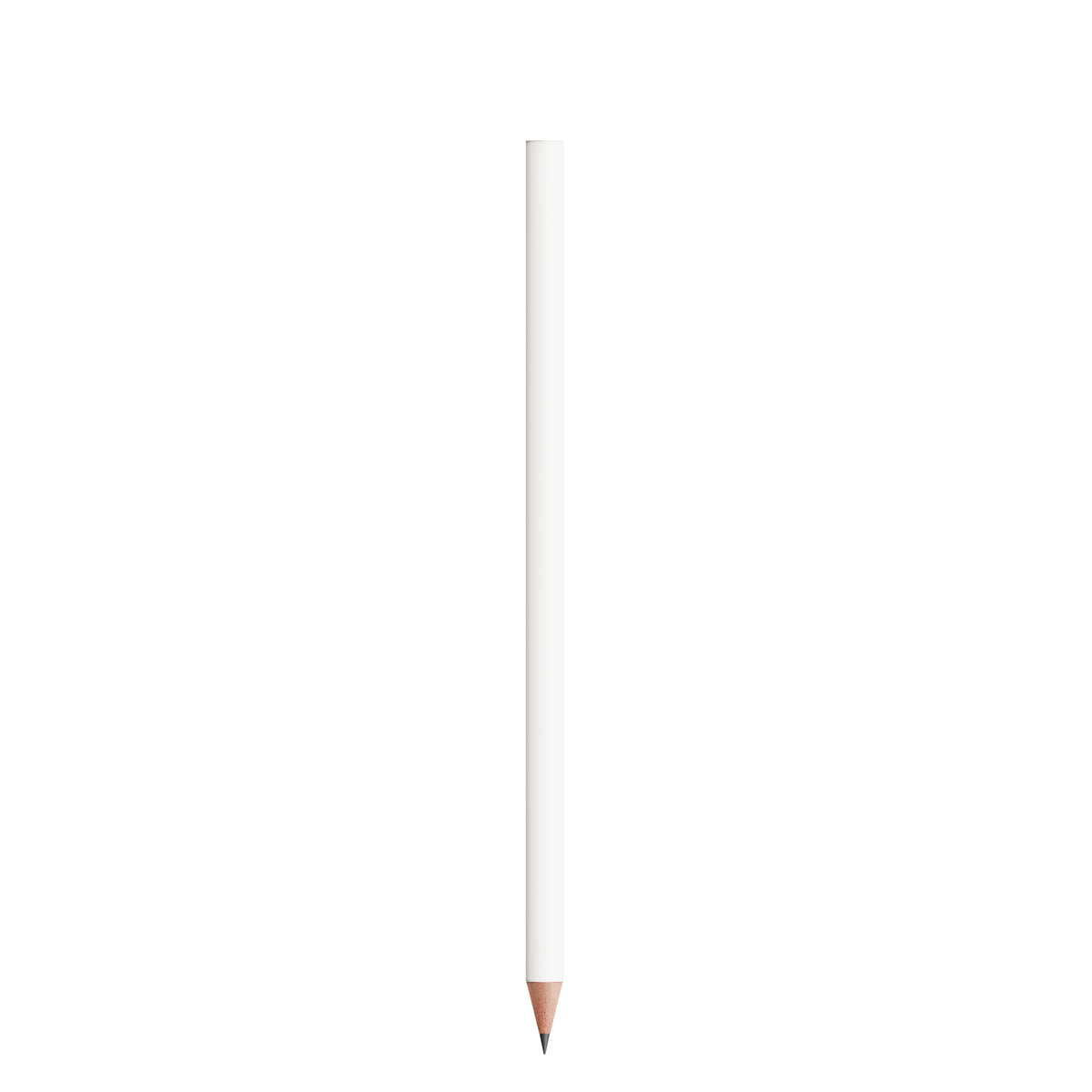 BIC®  Evolution® Classic Cut Ecolutions® crayon