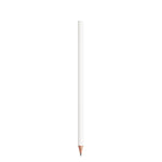 BIC®  Evolution® Classic Cut Ecolutions® crayon