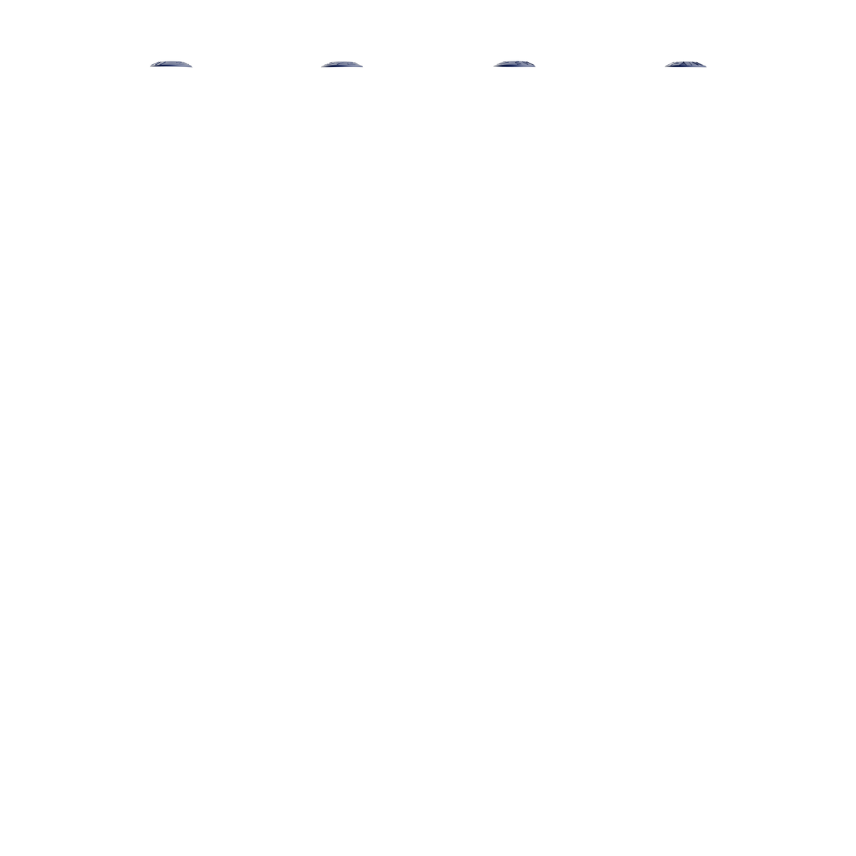 Bleu Marine