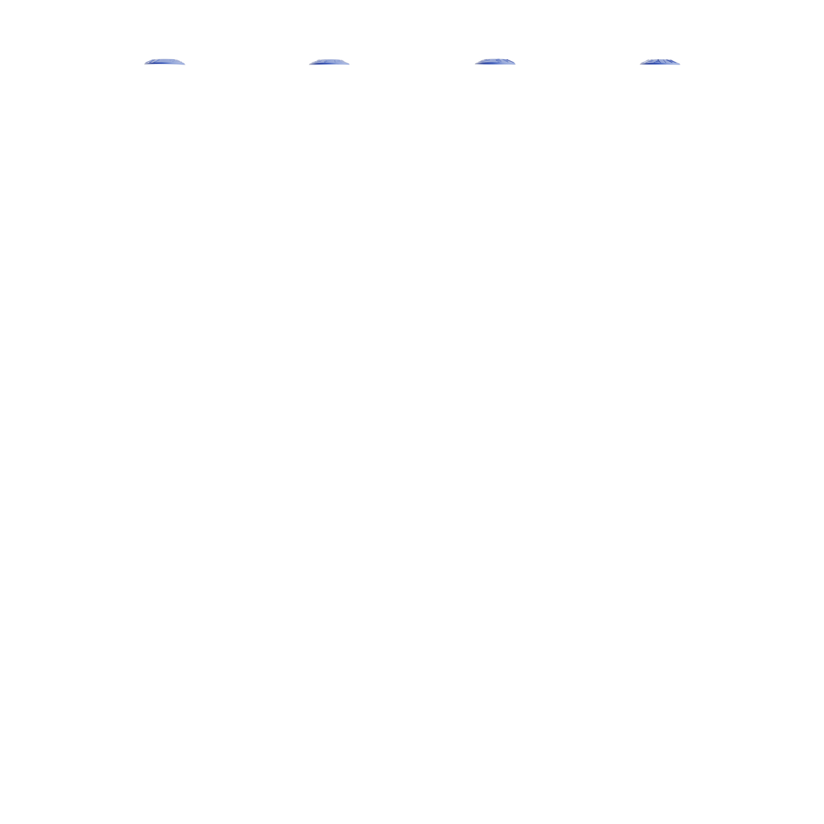 Bleu