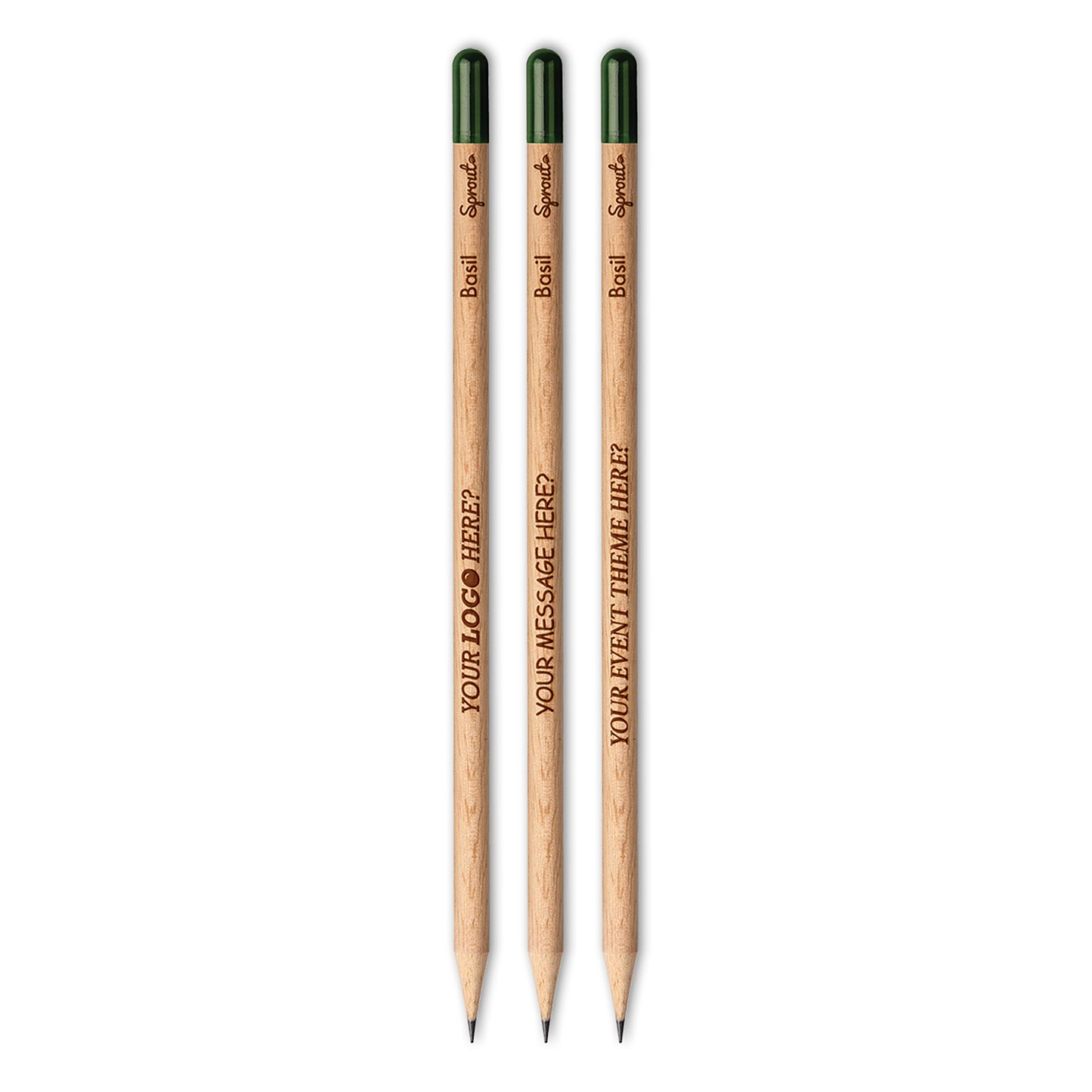 Sprout™ | Crayon