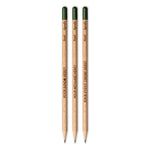 Sprout™ | Crayon