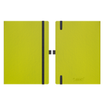 Apple green Lined Paper