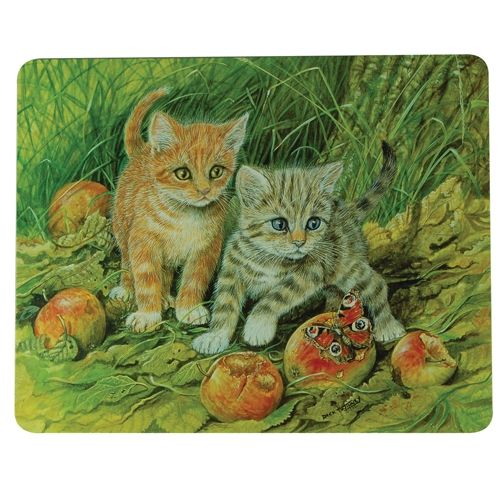c1027_cork_back_rectangle_placemat-v1-id574-mars26.jpg