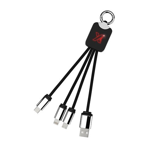 c15-cable-logo-lumineux-3-embouts-10.zoom-id616-jan26.jpg