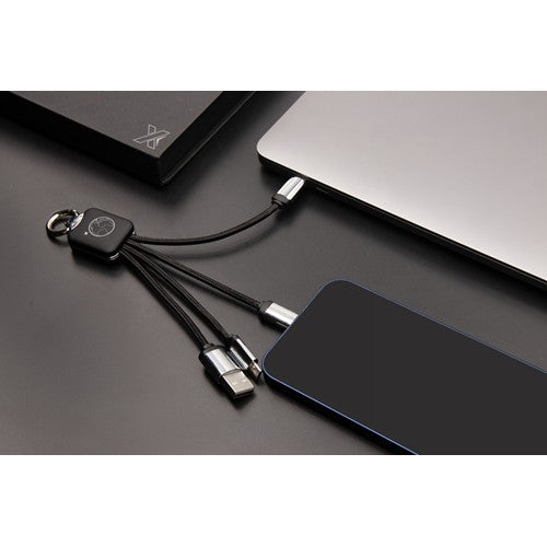 c15-cable-logo-lumineux-3-embouts-16.zoom-id616-jan26.jpg
