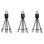 c15-cable-logo-lumineux-3-embouts-4.zoom-id616-jan26.jpg