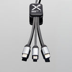 c33_photo_1.zoom-id616-oct26.jpg