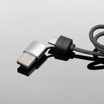 c33_photo_2.zoom-id616-oct26.jpg