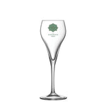 c5532-5.5oz_16ml_brio_champagne_flute-v1-id655-juill25.jpg