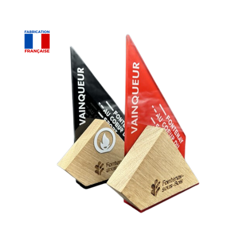 Trophée BOIS & INSERT PLEXI MIF