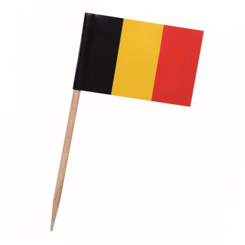 euf-pique-drapeau-belgique-id4205-jan23.jpg