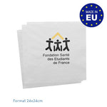 euf_serviette_budget_ex333-id4205-nov24.jpg