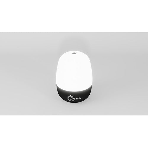 f05-lampe-nomade-2.zoom-id616-jan26.jpg