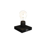 f20-lampe-levitation-6.zoom-id616-jan26.jpg