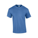 gn200_aa_front_cb65706b_ibx_2026.jpg