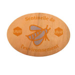 idbois24_hetre_5351-id374-oct26.jpg