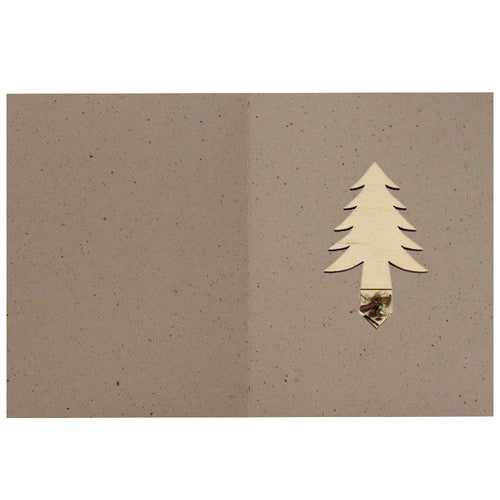 idg97_ouvert_cacao_sapin-id374-oct26.jpg