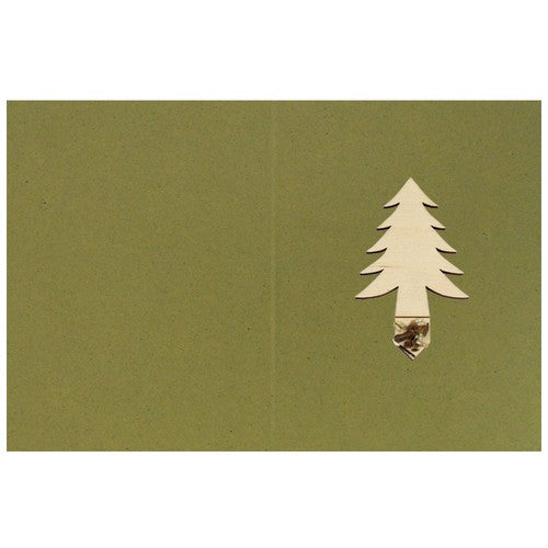 idg97_ouvert_olive_sapin-id374-oct26.jpg